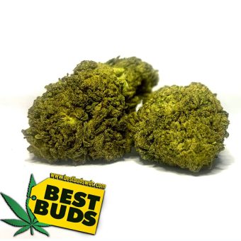  Sour Tangie